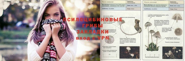 ГАЛЛЮЦИНОГЕННЫЕ ГРИБЫ Богородск
