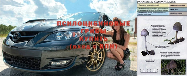 стафф Богородицк