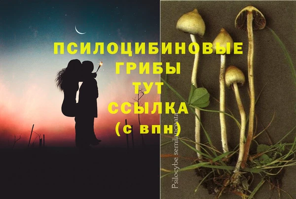 ГАЛЛЮЦИНОГЕННЫЕ ГРИБЫ Богородск