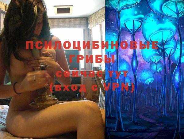 скорость Богданович