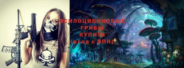 стафф Богородицк